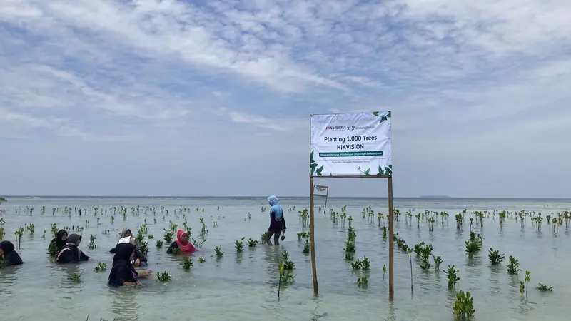 Dalam rangka turut merayakan Hari Lingkungan Hidup Sedunia pada hari ini, Rabu (5/6/2024), perusahaan teknologi Hikvision menanam 1.000 bibit mangrove di Pulau Pari, Kepulauan Seribu.