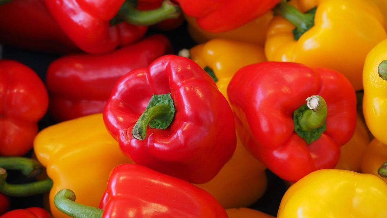 <b>9. Paprika Merah dan Cabai</b>