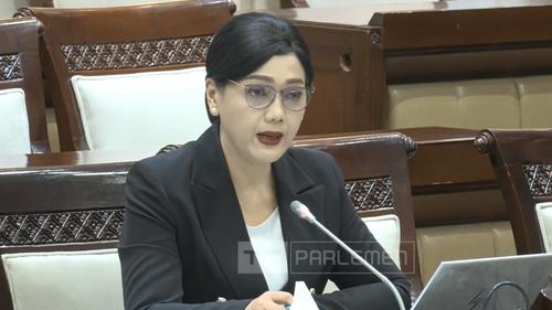 Friderica Widyasari Dewi