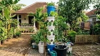 5 Cara Membuat Menara Hidroponik dari Ember Bekas, Solusi Berkebun Hemat Lahan