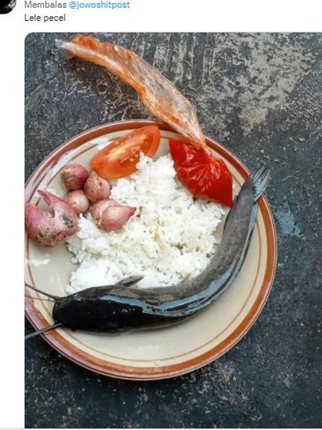 6 Potret Nyeleneh Makanan Enggak Digoreng Ini Bikin Tepuk Jidat