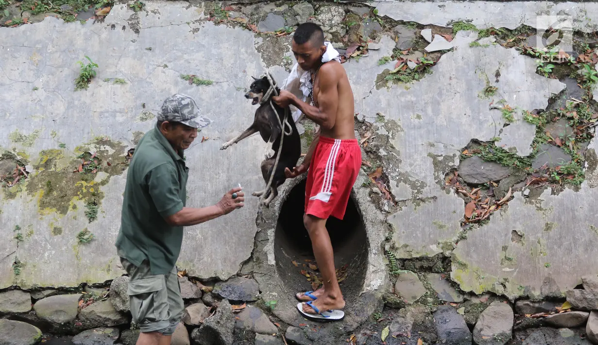 Petugas Animal Rescue menyelamatkan seekor anjing yang terjebak di gorong-gorong kali Gresik, Menteng, Jakarta Pusat, Rabu (23/5). Anjing ini terjebak selama 3 hari dan dibawa ke tempat penampungan. (Liputan6.com/Arya Manggala)