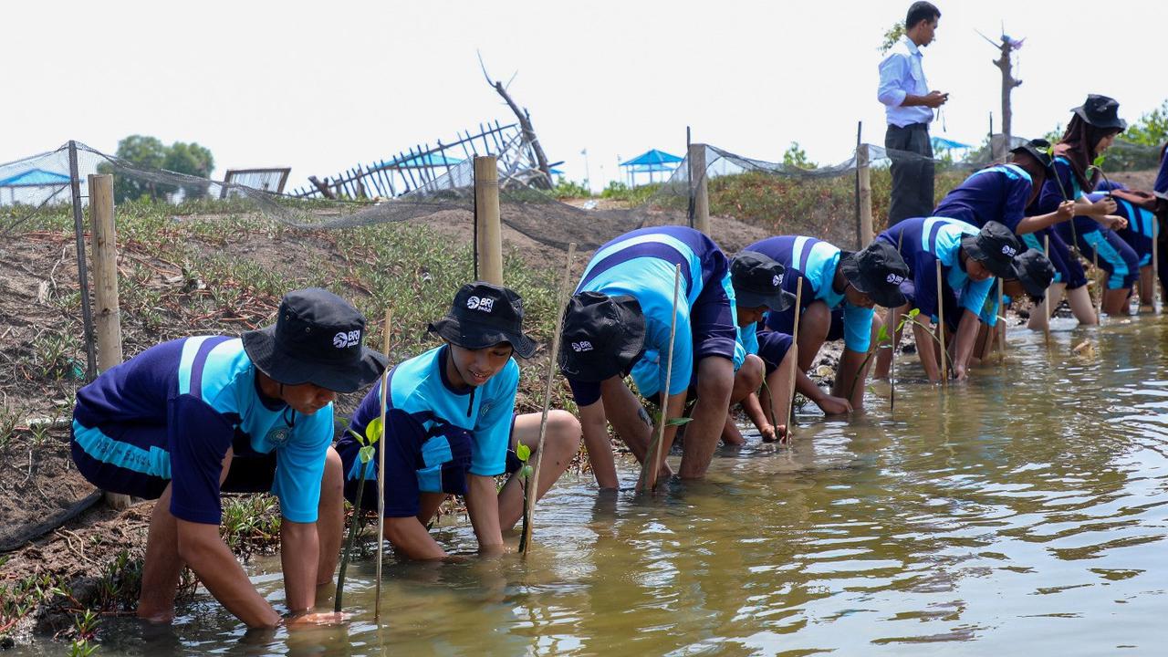 BRI Beri Edukasi dan Aksi Mitigasi Perubahan Iklim bagi Pelajar Sekolah