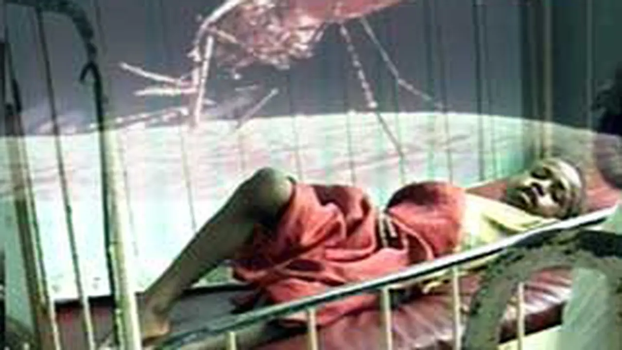 031101aMalaria.jpg