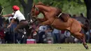 Seorang gaucho atau koboi terpental saat menaiki kuda liar pada kompetisi rodeo di San Antonio de Areco , Argentina, Minggu (8/11). Di acara ini, para gaucho saling bersaing menunjukkan keahlian mereka menunggangi kuda liar. (AFP PHOTO / Eitan Abramovich)