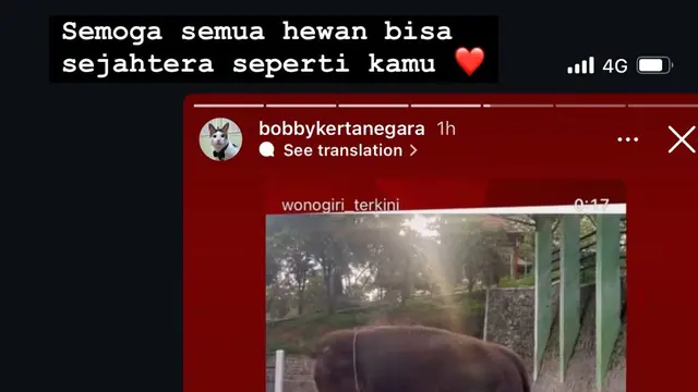 Bobby Kertanegara Ikut Mengunggah Ulang Konten