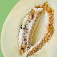 Bahaya Melakukan Tindik di Vagina (Karol Kostialova/Shutterstock)