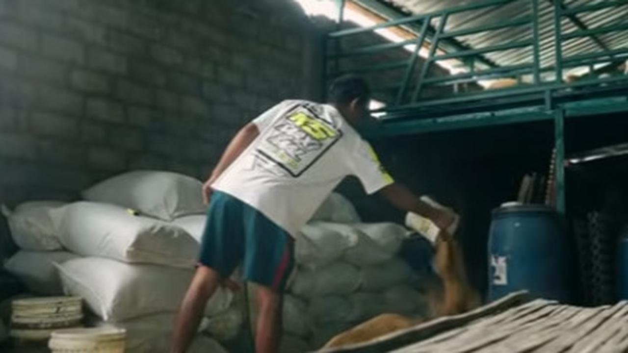 Mantan Kernet Truk Berhasil Ternak Domba Bisa Beli Rumah dan Mobil