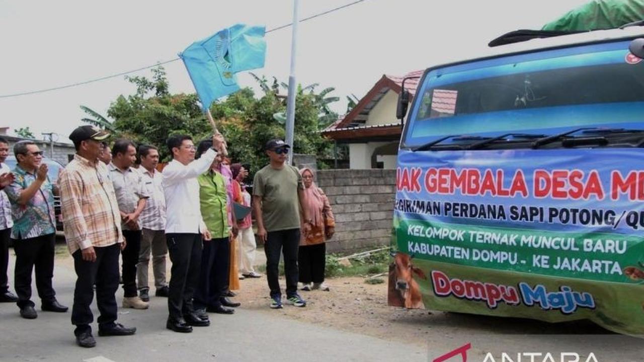 Dompu Kirim 107 Ekor Sapi untuk Idul Adha 1447 H, Perkuat Pasokan Nasional