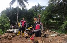 Kerahkan Anjing Pelacak, 11 Orang Korban Longsor Desa Cibeunying Cilacap Ditemukan Meninggal Dunia