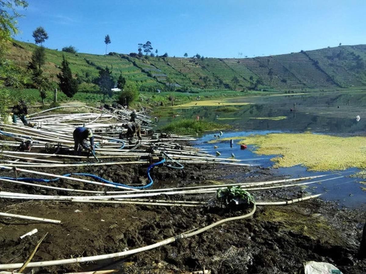 Kekeringan, petani kentang Dieng sedot air Telaga Merdada
