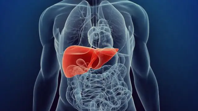 Efek samping transplantasi hati