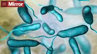 Sekitar 80.000 orang Amerika terinfeksi bakteri ini setiap tahun. (Sumber: Screenshot Mirror.co.uk/iStockphoto)
