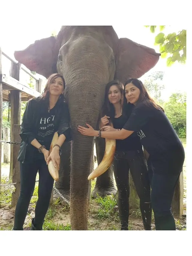 6 Potret Kenangan Wulan Guritno Bareng Gajah Rahman, Mati Diracun dan Gading Dicuri