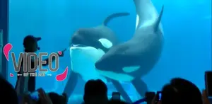 Seperti Ini Jadinya Jika Dunia di Balik