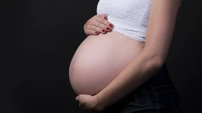 Bahaya polusi udara pada bayi/copyright Pixabay.com