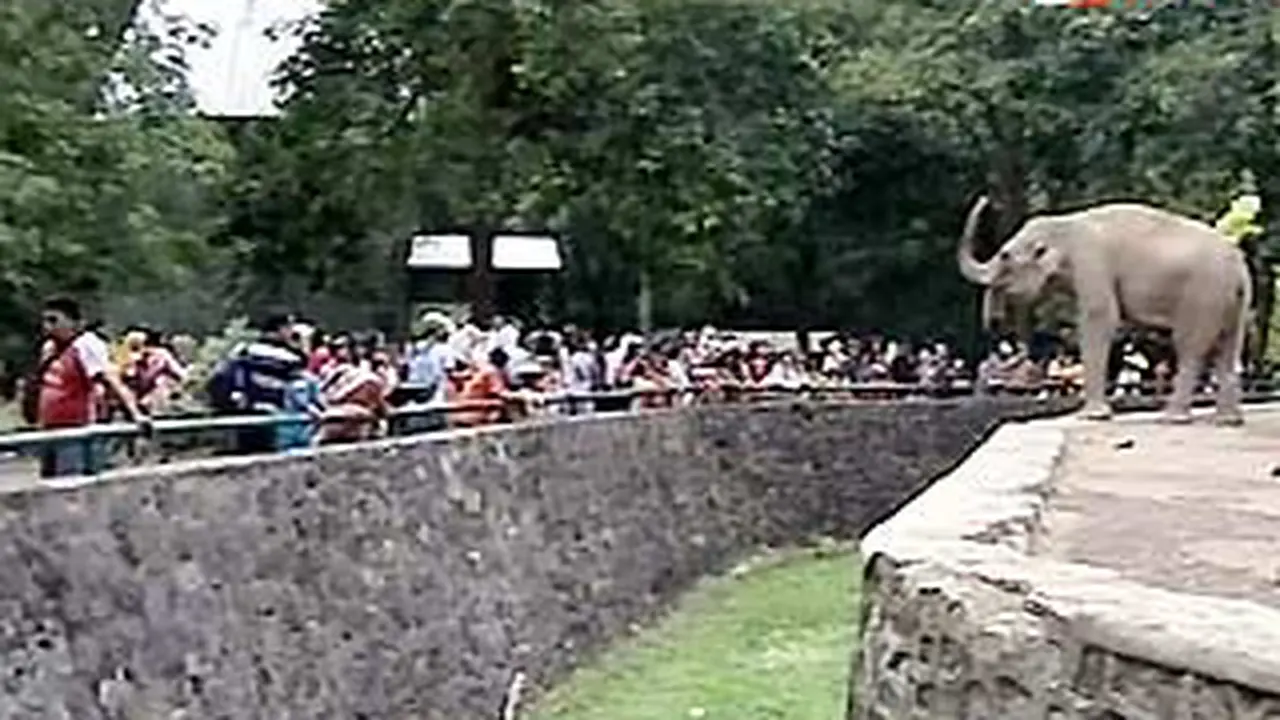 111226cragunan.jpg