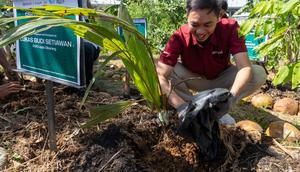 Program CSR Urban Farming yang dijalankan pengembang properti perkotaan Lippo Cikarang Cosmopolis. (Dok PT Lippo Cikarang Tbk)