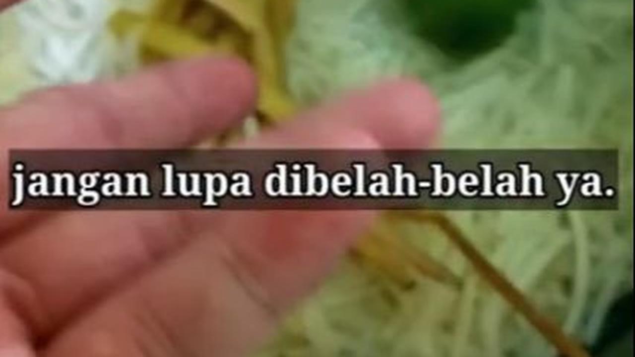 Tambahkan 2 Bahan ini
