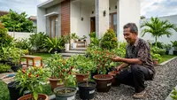 Cara Menanam Cabai agar Cepat Panen, Rahasia Berbuah Lebat sejak dari Benih