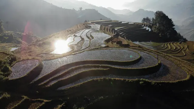 Sawah Terasering di Vietnam Menanti Kedatangan Turis