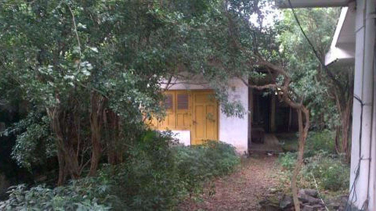 Bau busuk di rumah Elizabeth dikira bangkai binatang