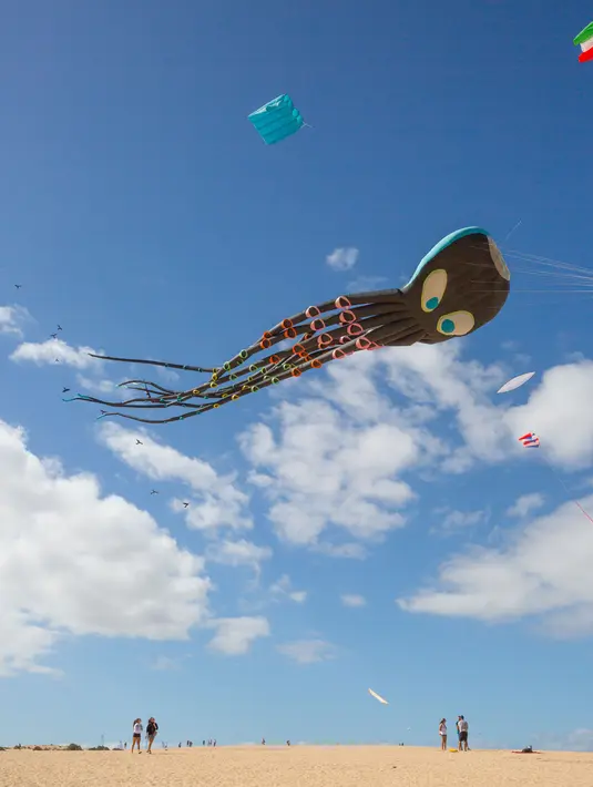 Layang-layang berbentuk gurita terbang selama Festival Layang-layang Internasional di Fuerteventura, kepulauan Canary, Spanyol, 10 November 2018. Festival diikuti 45 penerbang layang-layang profesional dan amatir dari delapan negara. (DESIREE MARTIN/AFP)