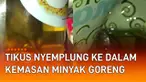 Bikin geli dan bingung ketika seekor tikus nyemplung ke dalam kemasan minyak goreng.