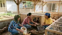 Panduan Memulai Program Ternak Bebek Petelur untuk Ibu Dasawisma, Peluang Usaha