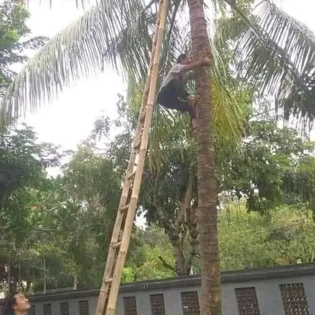 6 Potret Tangga Tukang Dirakit Ini Nyeleneh, Bikin Enggak Berani Naik