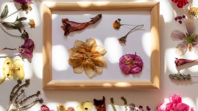 Pressed Flowers