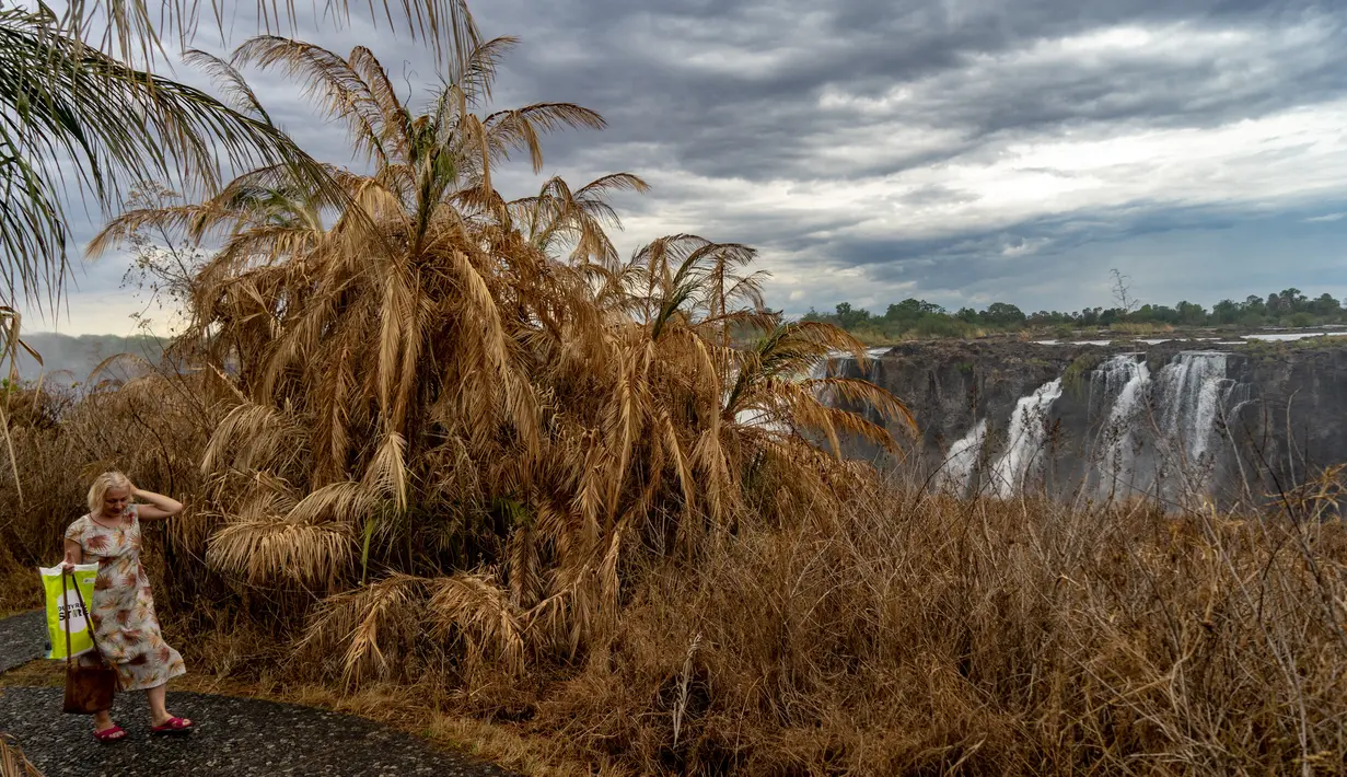 Turis berjalan di sepanjang jalan setapak di hutan dekat Air Terjun Victoria di Zimbabwe (13/11/2019). Serangkaian gelombang panas telah mengeringkan sebagian besar vegetasi di sekitar situs warisan dunia UNESCO berukuran 108 meter dan lebar hampir 2 km dalam kekeringan parah. (AFP/Zinyange Auntony)