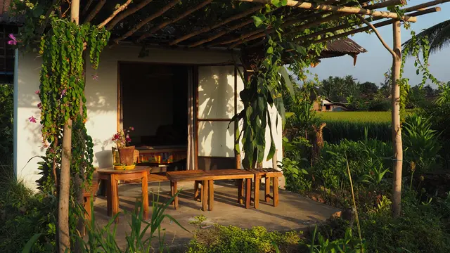 Desain Rumah Minimalis di Desa dengan Pergola Alami (AI)