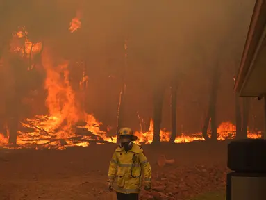 Seorang petugas pemadam kebakaran berada di lokasi kebakaran di dekat Wooroloo, di Perth, Australia, Selasa (2/1/2021). Kebakaran hutan tak terkendali di sebuah wilayah di sebelah timur laut Perth telah menghancurkan puluhan rumah dan kemungkinan mengancam lebih banyak lagi (Evan Collis/DFES via AP)