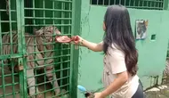 Medan Zoo alami krisis pangan. (Dok: IG @medanzoo https://www.instagram.com/medanzoo?igsh=MWRmc2h4c2c5aDkyMQ==)