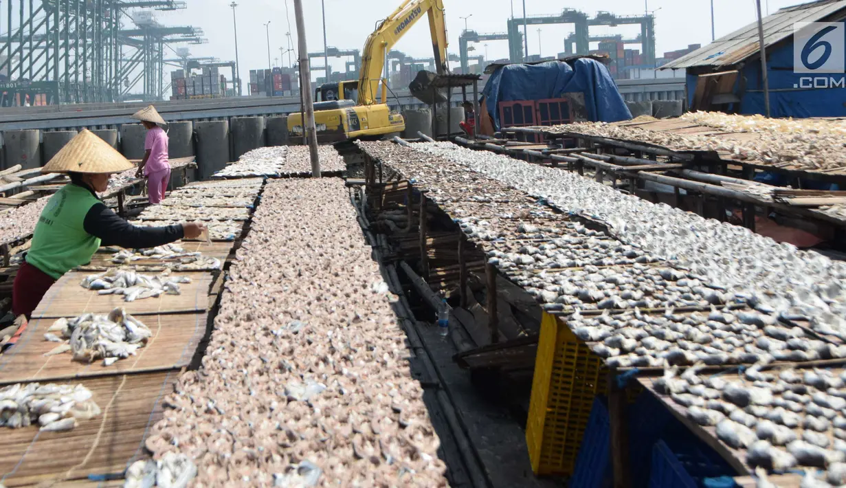 Suasana pengeringan ikan asin di kawasan Cilincing, Jakarta Utara, Rabu (9/5). Produksi ikan asin di kawasan tersebut untuk memenuhi kebutuhan di wilayah Jabodetabek. (Liputan6.com/Angga Yuniar)
