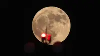 Kapan Supermoon Emas 2025? Jangan Sampai Ketinggalan Pemandangan 'Bulan Terbesar' Tahun Ini