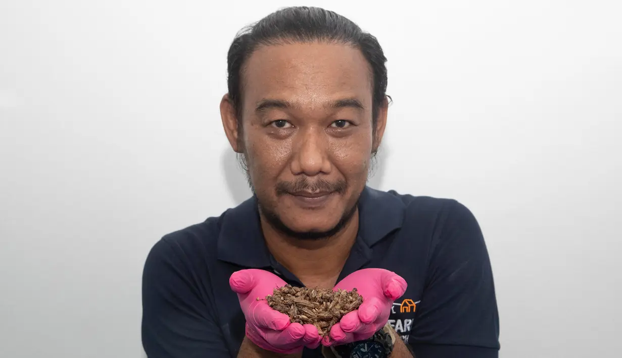 Pengusaha Thatnat Chanthatham menunjukkan jangkrik di pertanian Smile, Provinsi Ratchaburi, Thailand, Kamis (3/10/2019). Pengusaha Thailand tersebut mengembangkan bisnis jangkrik panggang dengan berhasil menembus toserba dan supermarket. (AP Photo/Sakchai Lalit)