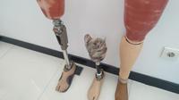 Kaki palsu. (dok. Liputan6.com/Adhita Diansyavira)
