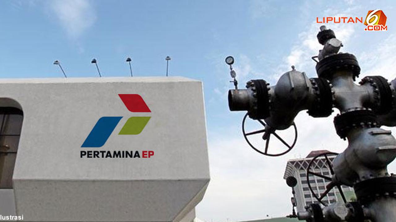 pertamina-ep--121122c.jpg
