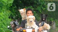 Alasan Lelut mengajak enam anjing sekaligus sebenarnya sederhana. Dia sudah mencintai anjing sejak tahun 1999. Mencari pakan bersama anjing memberikan kesenangan tersendiri bagi Lelut.  (merdeka.com/A rie Basuki)
