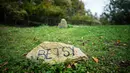 Sebelumnya, Parlemen Rumania pada Senin (15/7/2024) menyetujui perburuan 481 beruang tahun ini. Langkah ini diambil untuk mengendalikan populasi hewan tersebut sekaligus untuk mencegah serangan terhadap manusia. (Mihai Barbu/AFP)