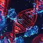 Deteksi DNA kanker yang bermutasi akan memudahkan pengobatan. (Ilustrasi: Science News Journal)