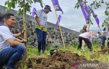 Pertamina dan Pemkot Batu Tanam 1.000 Pohon, Lestarikan Mata Air Penting Malang Raya