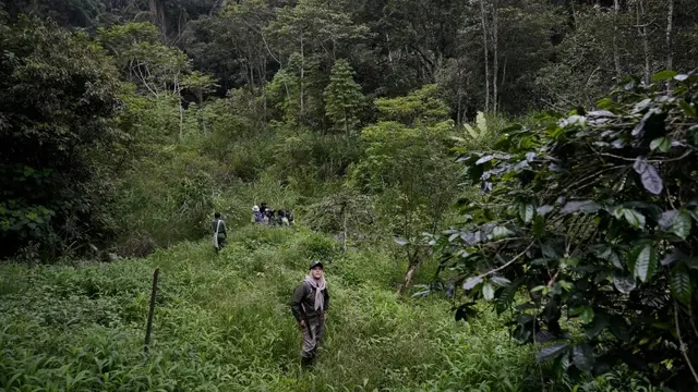 Anggota kelompok patroli hutan perempuan saat patroli