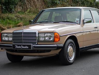Mercedes-Benz E-Class W123 yang akrab disebut Mercy Tiger di Indonesia merupakan salah satu mobil dengan Mercedes-Benz dengan rancang bangun terbaik. W123 memiliki ketangguhan luar biasa sebagai sebuah Mercedes. Mobil ini bahkan dijadikan taksi di beberapa negara dan tembus hingga lebih dari 800 ribu kilometer. Bahkan varian mesin diesel yang digunakan bisa tahan terhadap serangan peluru. (Source: tradeclassics.com)