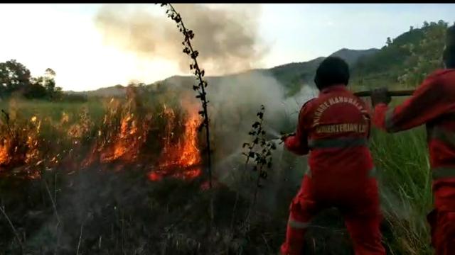 Pemadaman kebakaran hutan yang diduga sengaja dibakar warga, Kamis (8/8/2019).(Liputan6.com/Ahmad Akbar Fua)