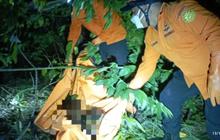 Seorang Pria Ditemukan Tewas Membusuk dan Tergantung di Pohon, Lehernya Nyaris Terlepas dari Badan