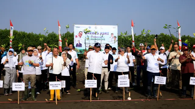 Menteri Lingkungan Hidup/Kepala Badan Pengendalian Lingkungan Hidup (LH/BPLH) Moh Jumhur Hidayat turun langsung memimpin gerakan penanaman mangrove.