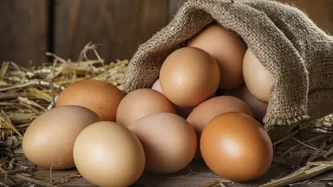 Resep Menu Makanan Tinggi Protein yang Rendah Kolesterol